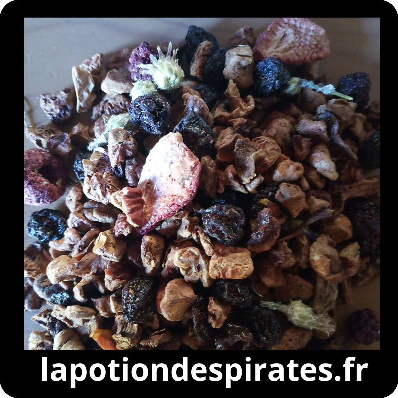 Infusion le Port Royal